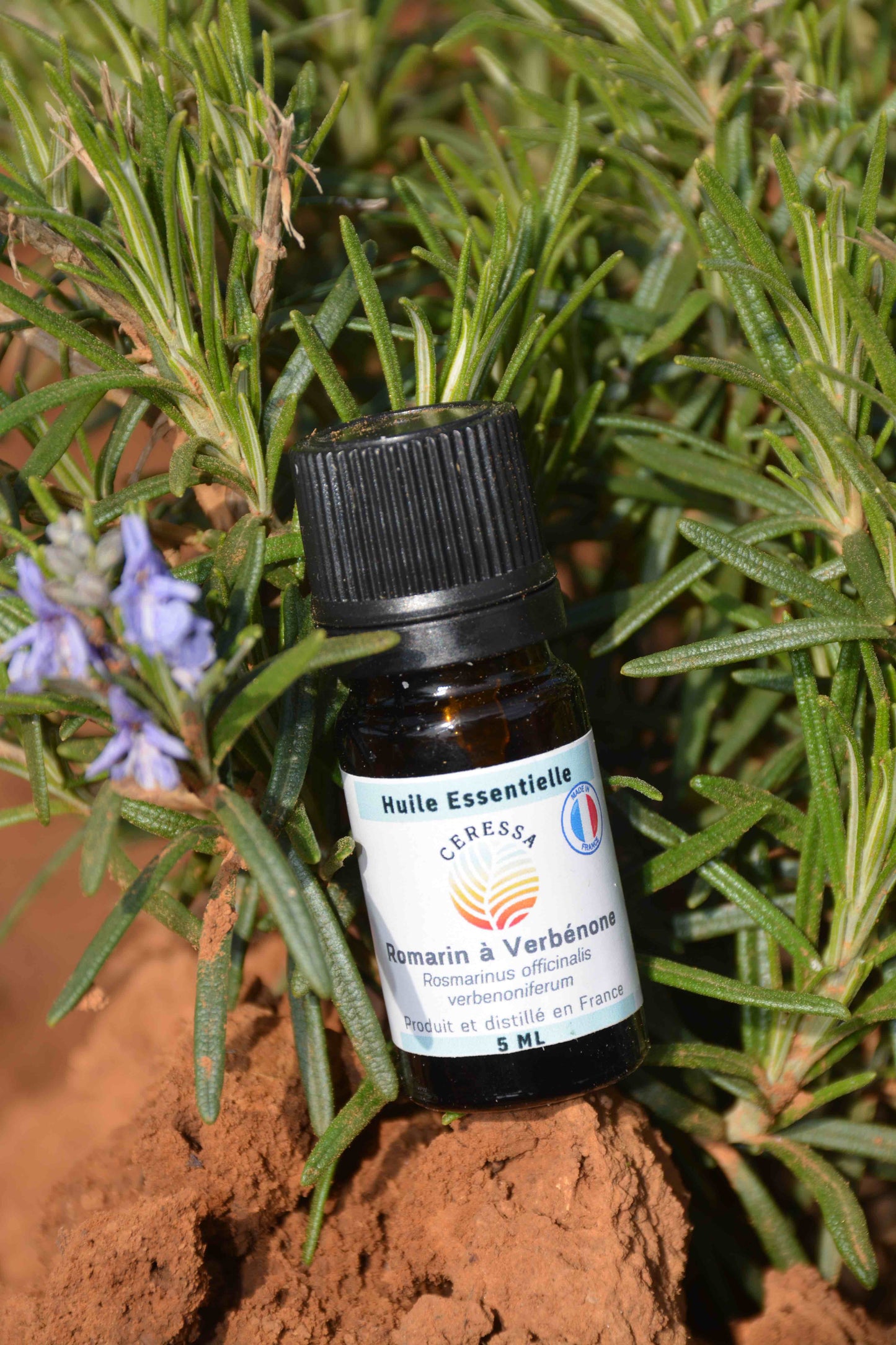 Huile Essentielle Romarin à Verbénone _ 5ml