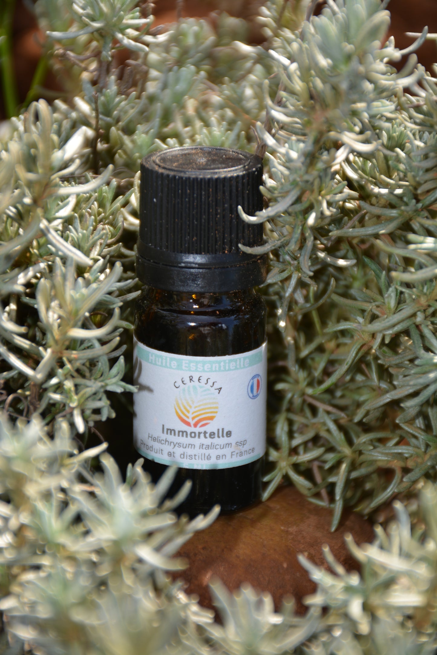 Huile essentielle Immortelle_5ml