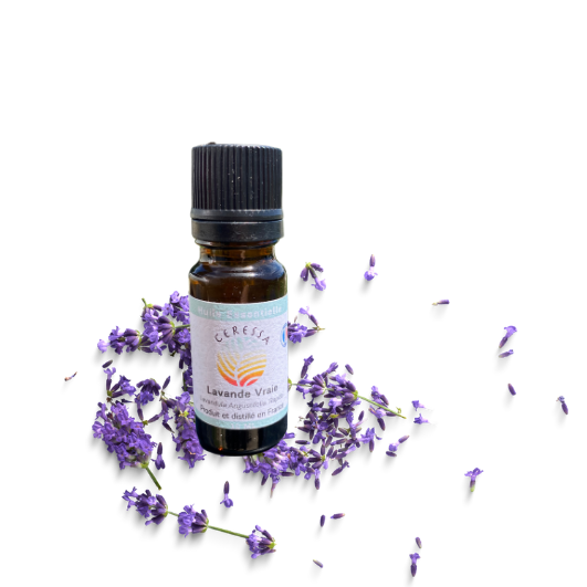 Huile essentielle Lavande Vraie - 10 ML